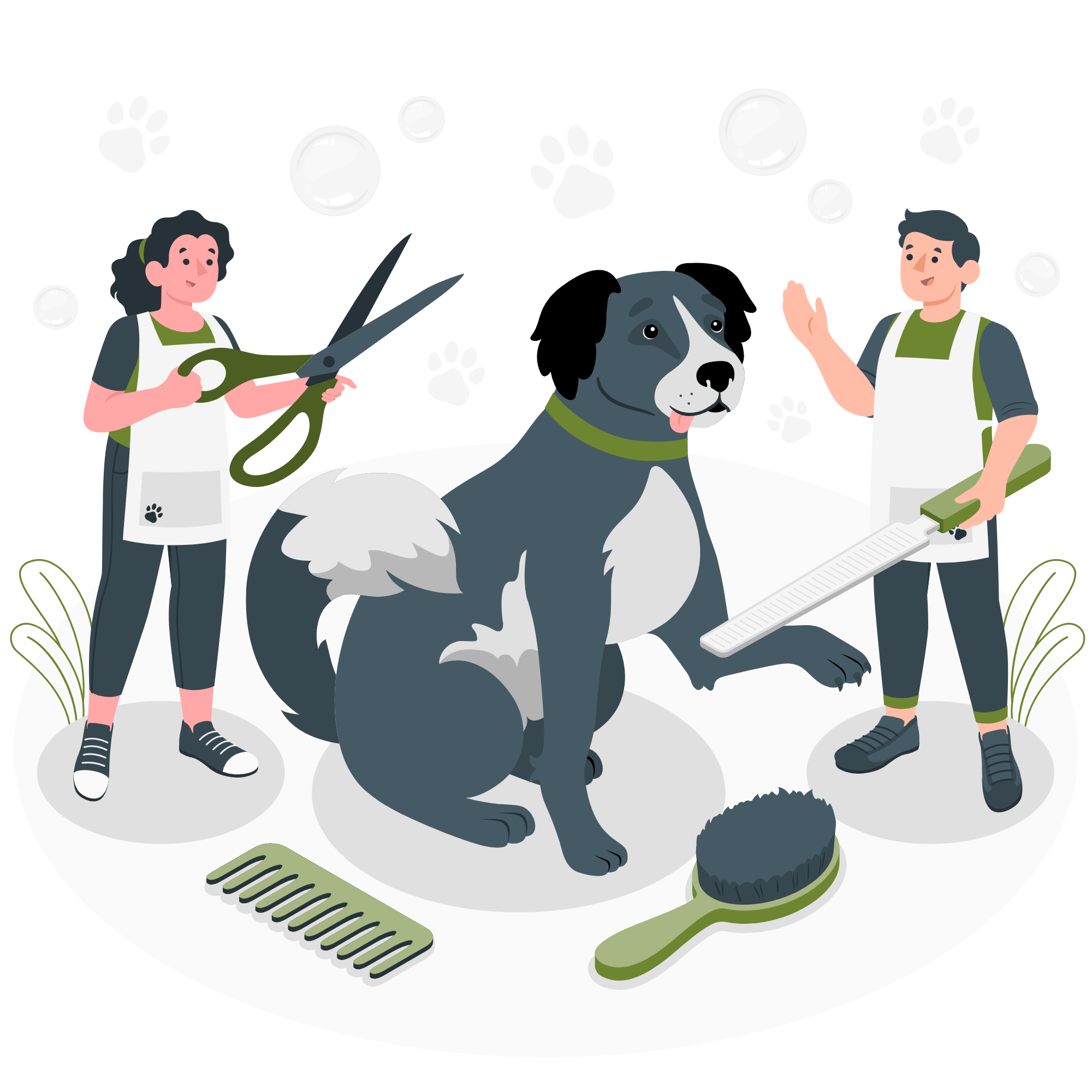 Équipe prenant soin d’un animal